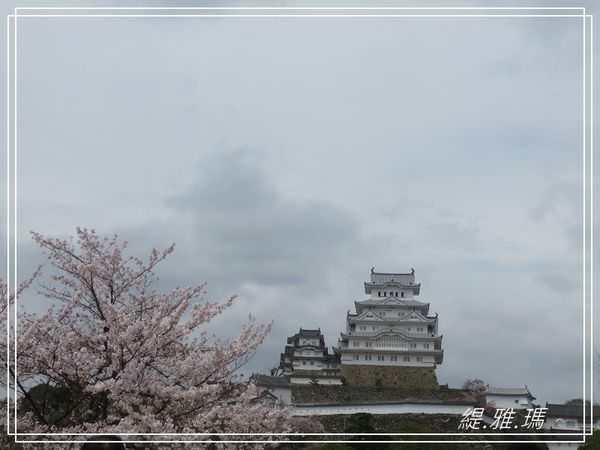 【神戶景點】姬路城.姬路市立動物園賞櫻.姬路旅遊券 @緹雅瑪 美食旅遊趣