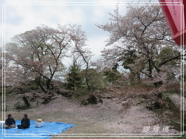 【神戶景點】姬路城.姬路市立動物園賞櫻.姬路旅遊券 @緹雅瑪 美食旅遊趣