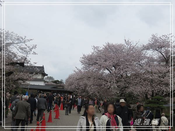 【神戶景點】姬路城.姬路市立動物園賞櫻.姬路旅遊券 @緹雅瑪 美食旅遊趣