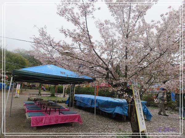 【關西.京都 美食】天富良天周.八坂神社.圓山公園賞櫻 @緹雅瑪 美食旅遊趣