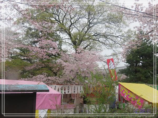 【關西.京都 美食】天富良天周.八坂神社.圓山公園賞櫻 @緹雅瑪 美食旅遊趣