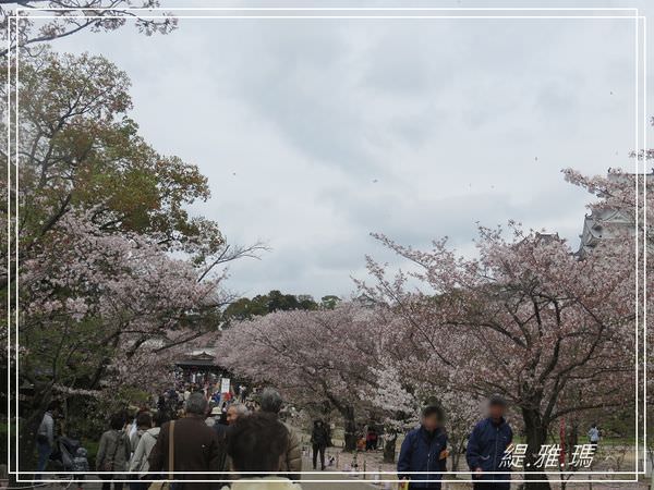 【神戶景點】姬路城.姬路市立動物園賞櫻.姬路旅遊券 @緹雅瑪 美食旅遊趣