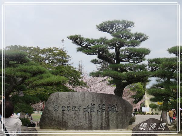 【神戶景點】姬路城.姬路市立動物園賞櫻.姬路旅遊券 @緹雅瑪 美食旅遊趣