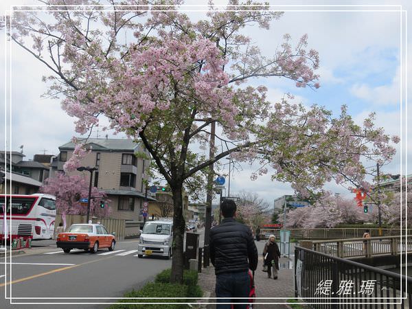 【京都景點】蹴上傾斜鐵道.岡崎疏水賞櫻 @緹雅瑪 美食旅遊趣