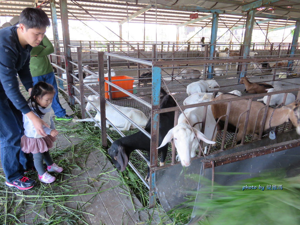 【宜蘭景點】宜農牧場。親子旅遊景點：羊奶霜淇淋、餵羊吃草、DIY肥皂、彩繪陶瓷&#038;木雕筆 @緹雅瑪 美食旅遊趣