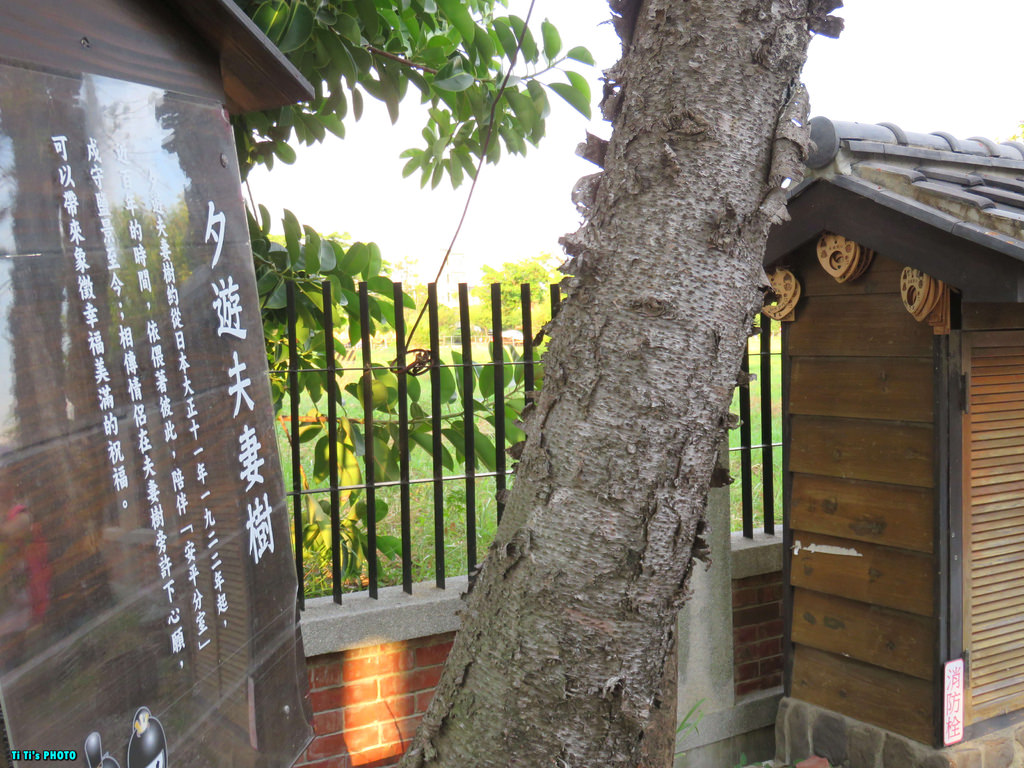 【台南景點.安平區】夕遊出張所。親子同遊景點：招牌雪鹽燒、生日彩鹽、大沙坑 @緹雅瑪 美食旅遊趣